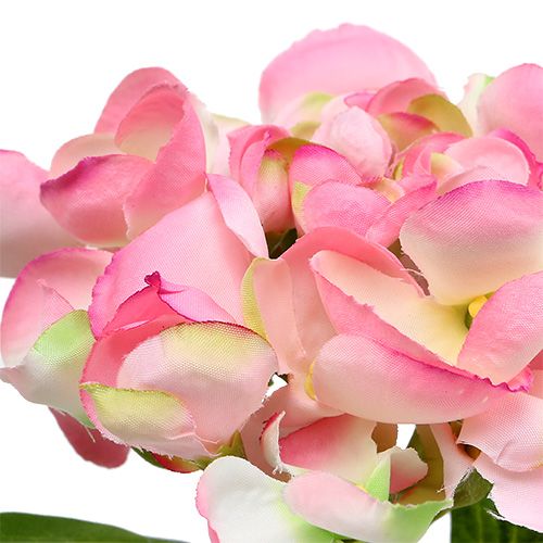 Floristik24 Hortensie Rosa 33cm