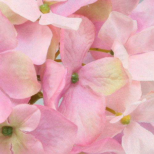 Floristik24 Hortensie Rosa 68cm