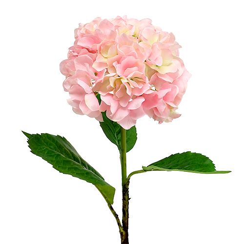 60cm Hortensie Blüte 25cm pink-creme-farben Hydrangea Kunstblume Seidenblume 