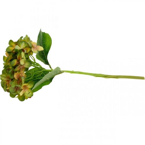 Floristik24 Hortensie künstlich Grün 33cm 1St