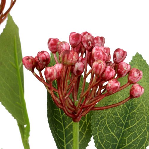 Floristik24 Hortensienknospenzweig 55cm Rosa 6St