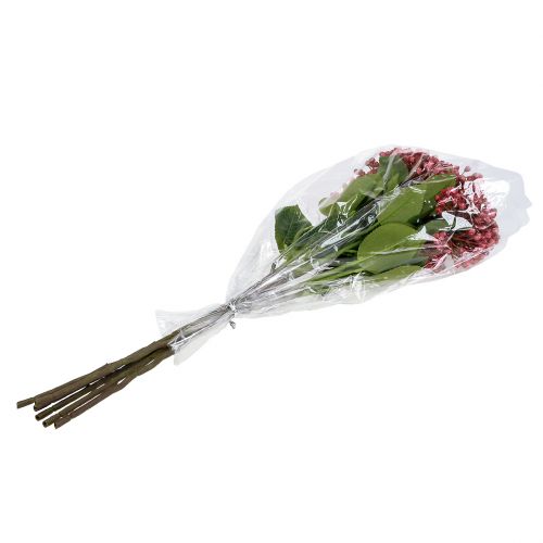 Floristik24 Hortensienknospenzweig 55cm Rosa 6St