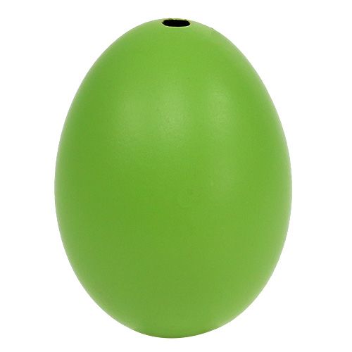 Artikel Hühnereier 5,5cm - 7cm Grün 10 St
