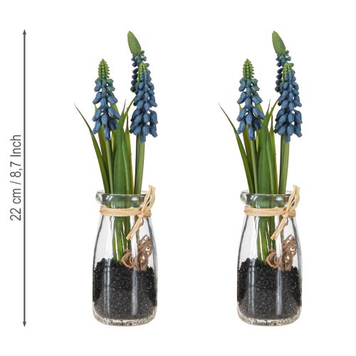 Artikel Hyazinthe künstlich Perlhyazinthe Blau im Glas H22cm 2St