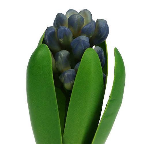 Floristik24 Hyazinthe mit Zwiebel Blau 15cm 3St