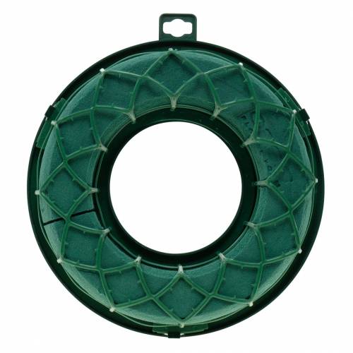 OASIS® IDEAL Universal Ring Steckschaum-Kranz Grün H4cm Ø18,5cm 5St
