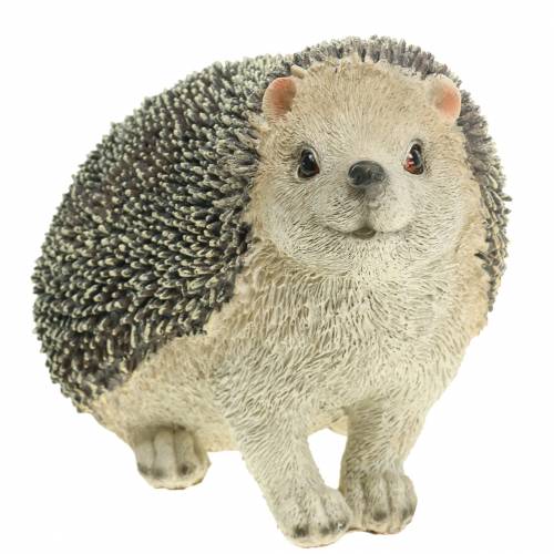 Floristik24 Dekofigur Igel 22cm