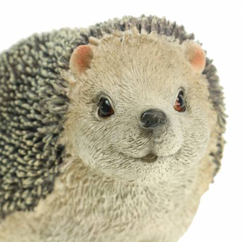 Floristik24 Dekofigur Igel 22cm
