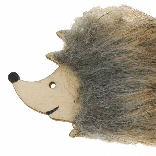 Floristik24 Herbstdeko Igel mit Fell 7cm 24 St