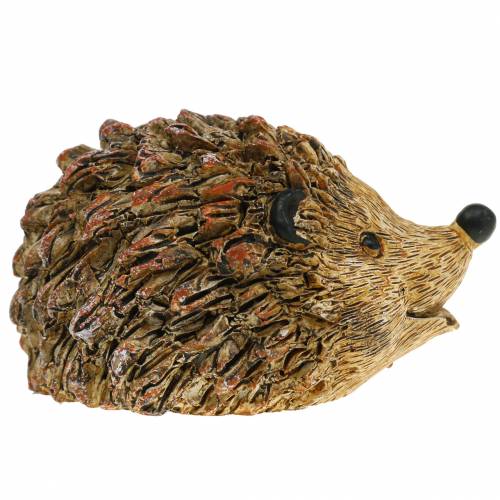 Floristik24 Dekofigur Igel Natur 6,5cm