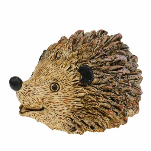 Floristik24 Dekofigur Igel Natur 6,5cm