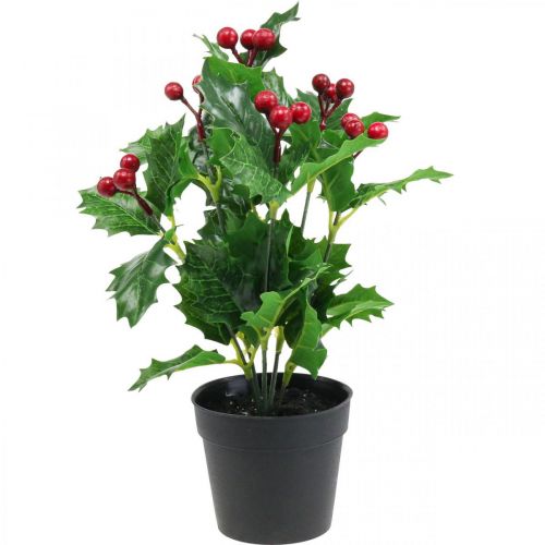 Floristik24 Stechpalme im Topf Kunstpflanzen Ilex künstlich 26cm