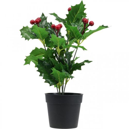 Floristik24 Stechpalme im Topf Kunstpflanzen Ilex künstlich 26cm