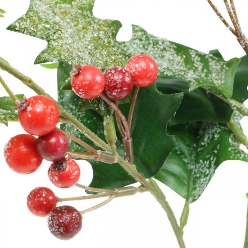 Floristik24 Künstlicher Ilexzweig, Winterbeere, Weihnachtsdeko, Stechpalme beschneit Grün, Rot L63cm