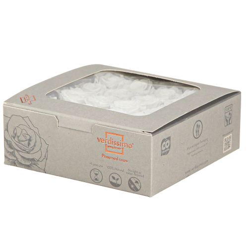 Artikel Infinity Rosen Echte Rosenköpfe Mini Rosen Weiß Ø3cm 16 St