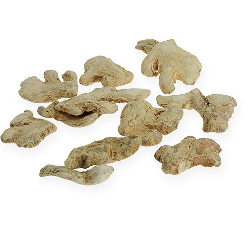 Getrockneter Ingwer Deko Naturdeko 500g