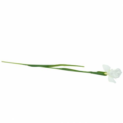 Floristik24 Schwertlilie künstlich Weiß 78cm