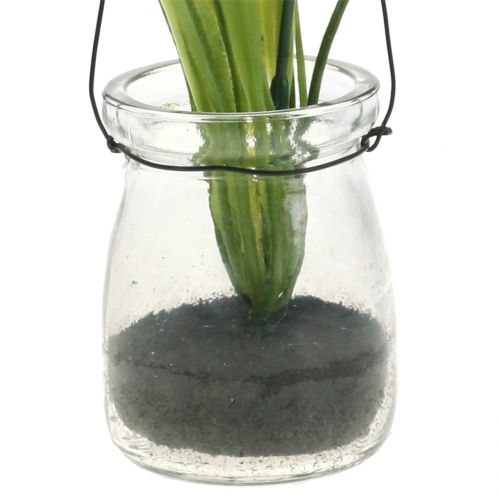 Artikel Schwertlilie Lila im Glas zum Hängen H21,5cm