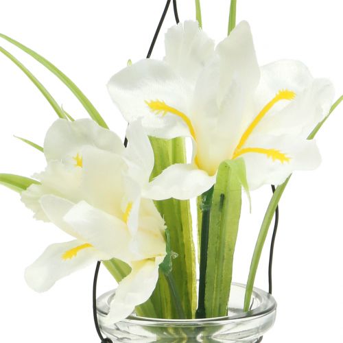Floristik24 Schwertlilie Weiß im Glas zum Hängen H21,5cm