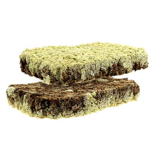 Artikel Moos Islandmoos Finnisch Extra Polar 2 Platten