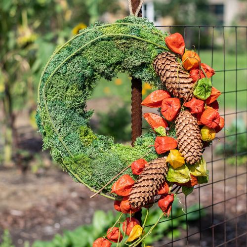 Islandmoos Kranz Wanddeko Naturkranz Grün Konserviert Ø34cm