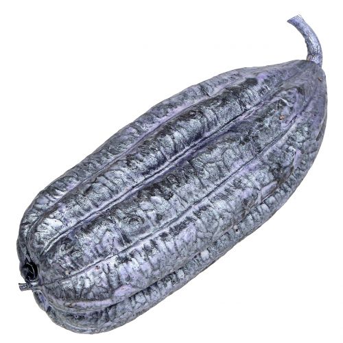 Floristik24 Luffa Frucht Violett 14cm – 20cm 10 St