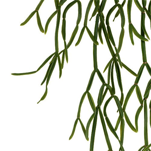 Kakteenhänger 115cm Grün