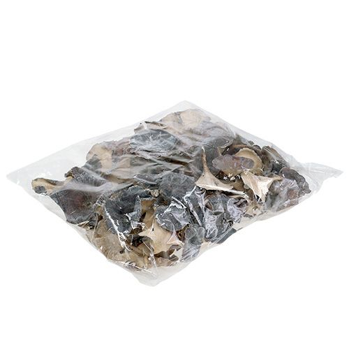 Floristik24 Kalix Pilz Weiß gewaschen 100 St