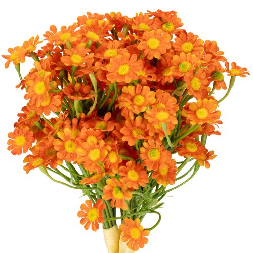 Kunstblumenbund Kamille für stimmungsvolle saisonale Dekoration 27cm 3St