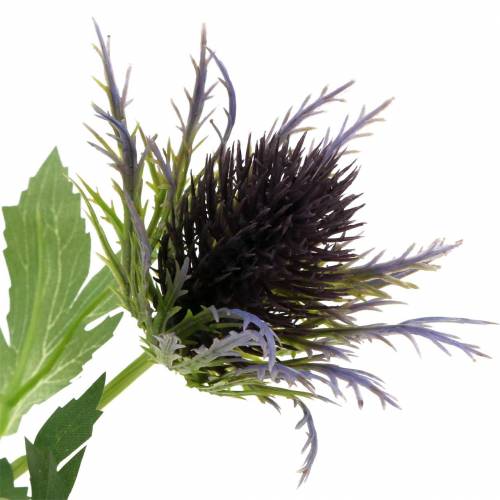 Floristik24 Distel-Zweig künstlich Blau-Violett 68cm 3St