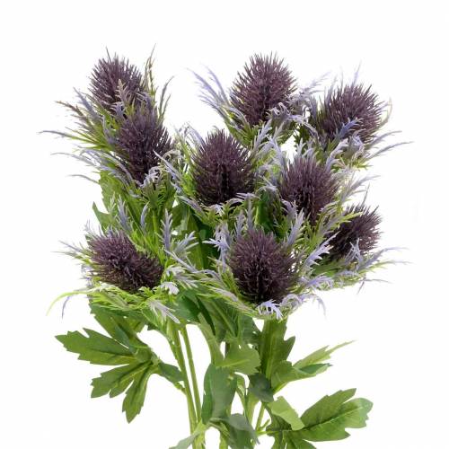 Floristik24 Distel-Zweig künstlich Blau-Violett 68cm 3St