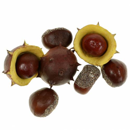 Floristik24 Deko-Kastanie Maronen Sortiment 5,5cm 24 St