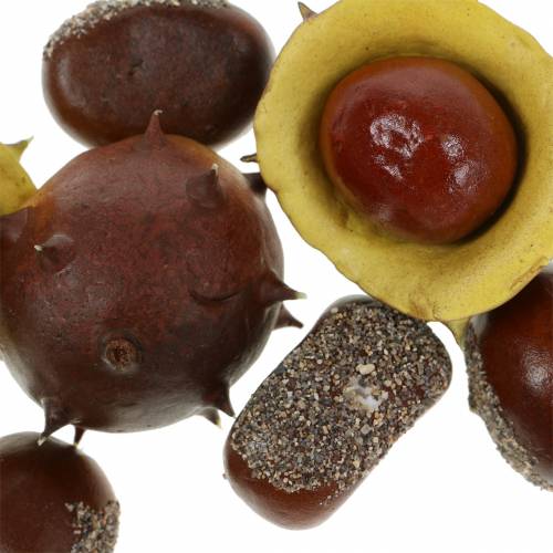 Floristik24 Deko-Kastanie Maronen Sortiment 5,5cm 24 St