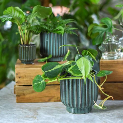 Floristik24 Keramik-Pflanztopf, Blumendeko, Übertopf gewellt Grün, Braun Ø15,5cm H16,5cm