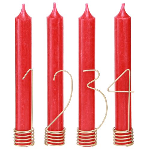 Floristik24 