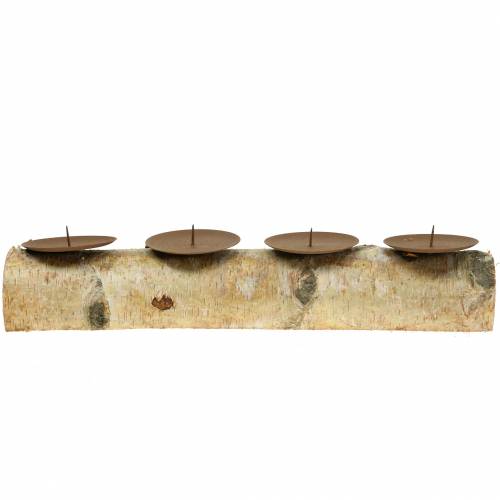 Floristik24 Kerzenhalter mit 4 Dornen Birke 40cm x 8cm H9cm