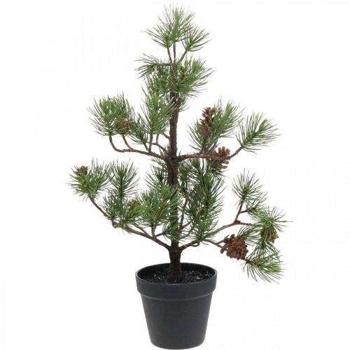 Floristik24 Künstliche Kiefer im Topf Weihnachtsbaum mit Zapfen 52cm