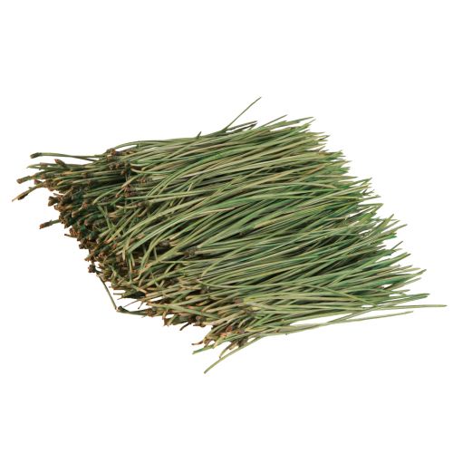 Floristik24 Kiefernnadeln Grün Bastelbedarf Weihnachten 50g 3St