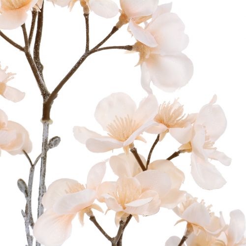 Floristik24 Kirschblütenzweig Geeist Creme 51cm