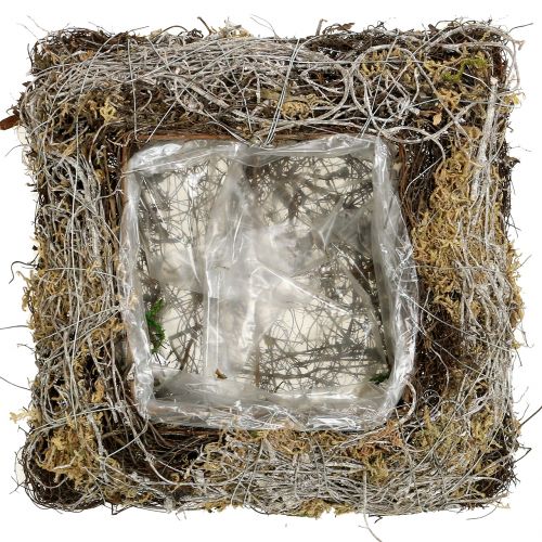 Floristik24 Kissen Moos / Rebe 20x20cm 3St