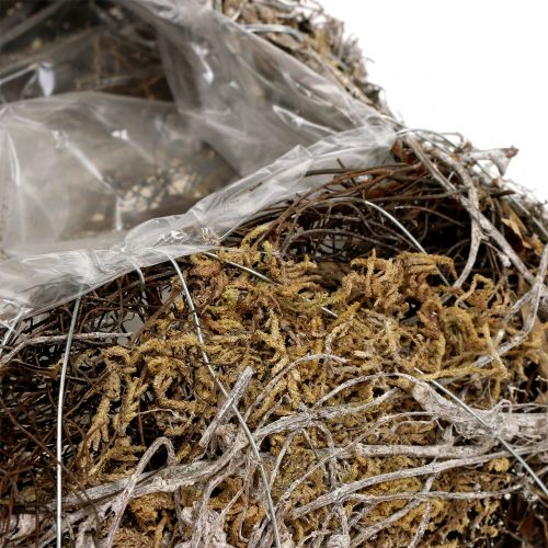 Floristik24 Kissen Moos / Rebe 20x20cm 3St