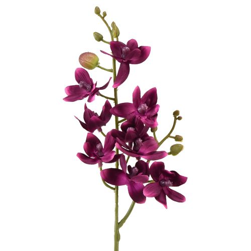 Floristik24 Kleine Orchidee Phalaenopsis Künstliche Blume Fuchisa 30cm