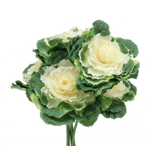 Floristik24 Künstlicher Zierkohl Weiß, Grün 25cm 6St