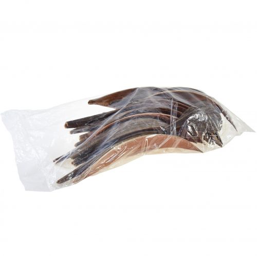 Artikel Kokosschalen Kokosblätter Natur getrocknet 22cm - 42cm 25 St