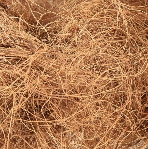 Floristik24 Kokosfaser Natur Pflanzenfaser Naturfaser Bastelmaterial 1kg