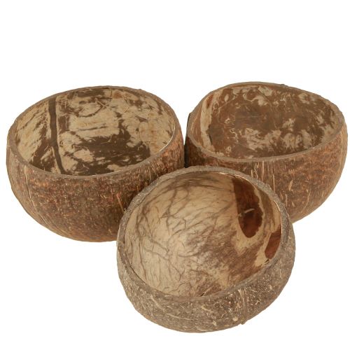Floristik24 Kokosnuss Schale Natur Deko Kokosschale halbiert 10cm 6 St