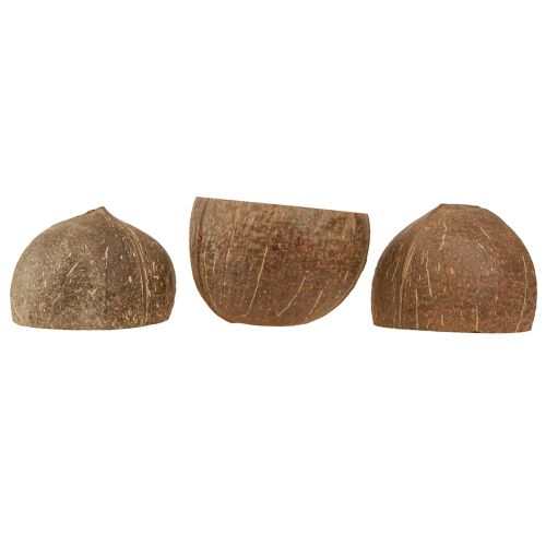 Artikel Kokosnuss Schale Natur Deko Kokosschale halbiert 10cm 6 St