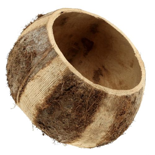 Artikel Kokosnuss Schale Natur 5St