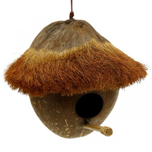 Kokosnuss als Nistkasten, Vogelhaus zum Hängen, Kokosnuss-Deko Ø16cm L46cm