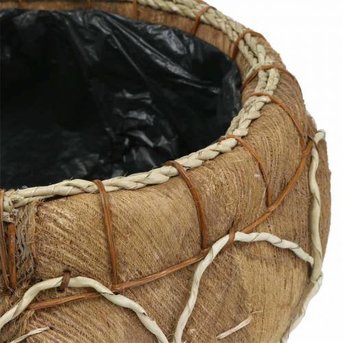 Floristik24 Pflanzgefäß Kokos Natur Ø37/24cm 2er-Set
